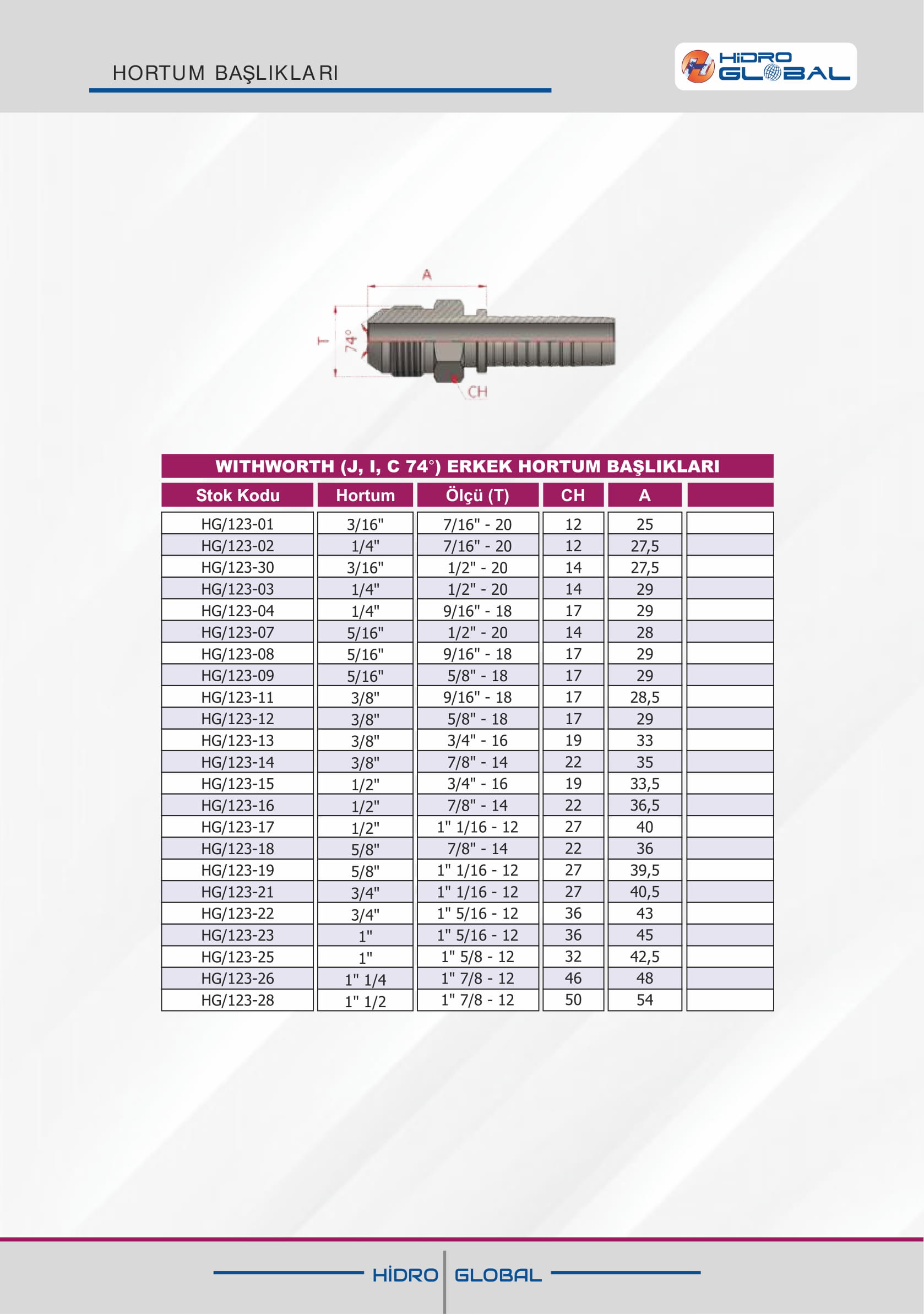 WITHWORTH (J I C 74 ERKEK HORTUM BAŞLIKLARI